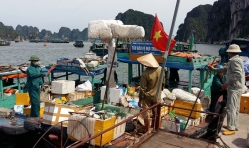 Quảng Ninh: Báo động rác thải tại vịnh Hạ Long