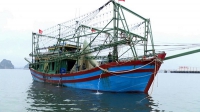 Quảng Ninh: Chú trọng đầu tư xây dựng hậu cần nghề cá