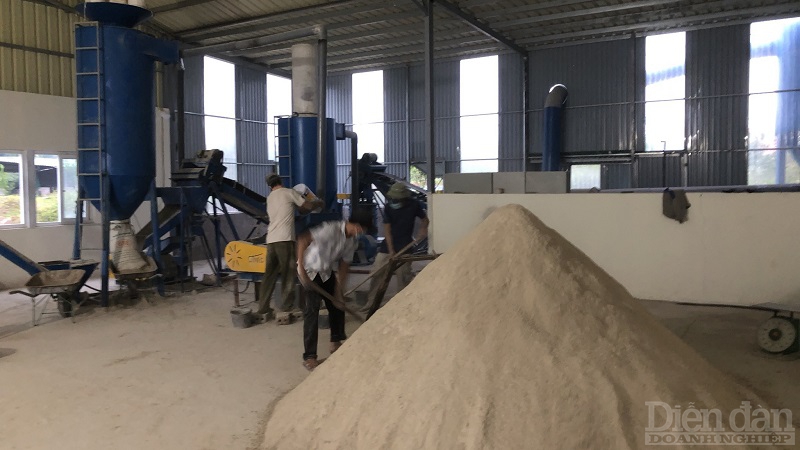 HTX phát triển hàu sữa Quảng Ninh ứng dụng khoa học công nghệ để nghiền vỏ hàu thành tinh bột, giúp giảm thiểu vấn đề ô nhiễm môi trường