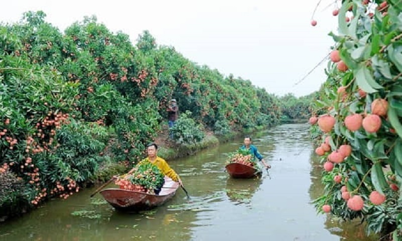 Du lịch sinh thái dọc hai bờ sông Hương được nhiều du khách ưa thích