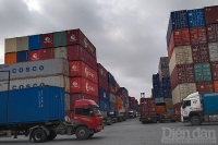 Hải Phòng: Rốt ráo giải quyết tình trạng tắc nghẽn tại các bãi container rỗng