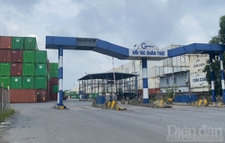 Hải Phòng: Tăng diện tích bãi container để giảm ùn tắc tại Đình Vũ