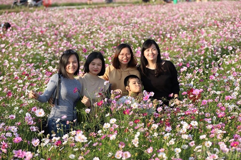 Du khách về tham quan tại cánh đồng hoa thuộc huyện Vũ Thư, tỉnh Thái Bình