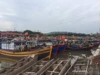 Hải Phòng: Đầu tư cơ sở hạ tầng cảng cá để ngành thủy sản phát triển bền vững