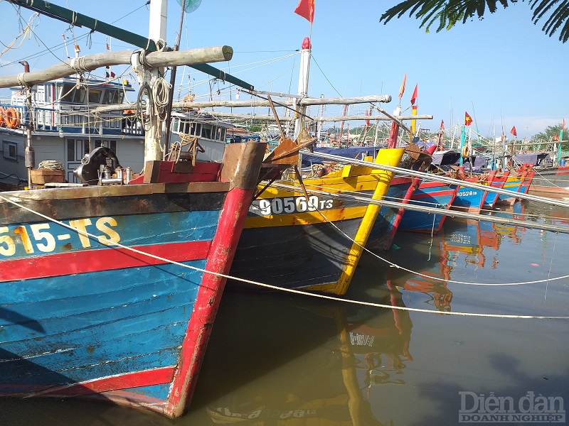 Cảng cá Ngọc Hải (quận Đồ Sơn, TP Hải Phòng) là nơi neo đậu, tránh bão của rất nhiều tàu thuyền
