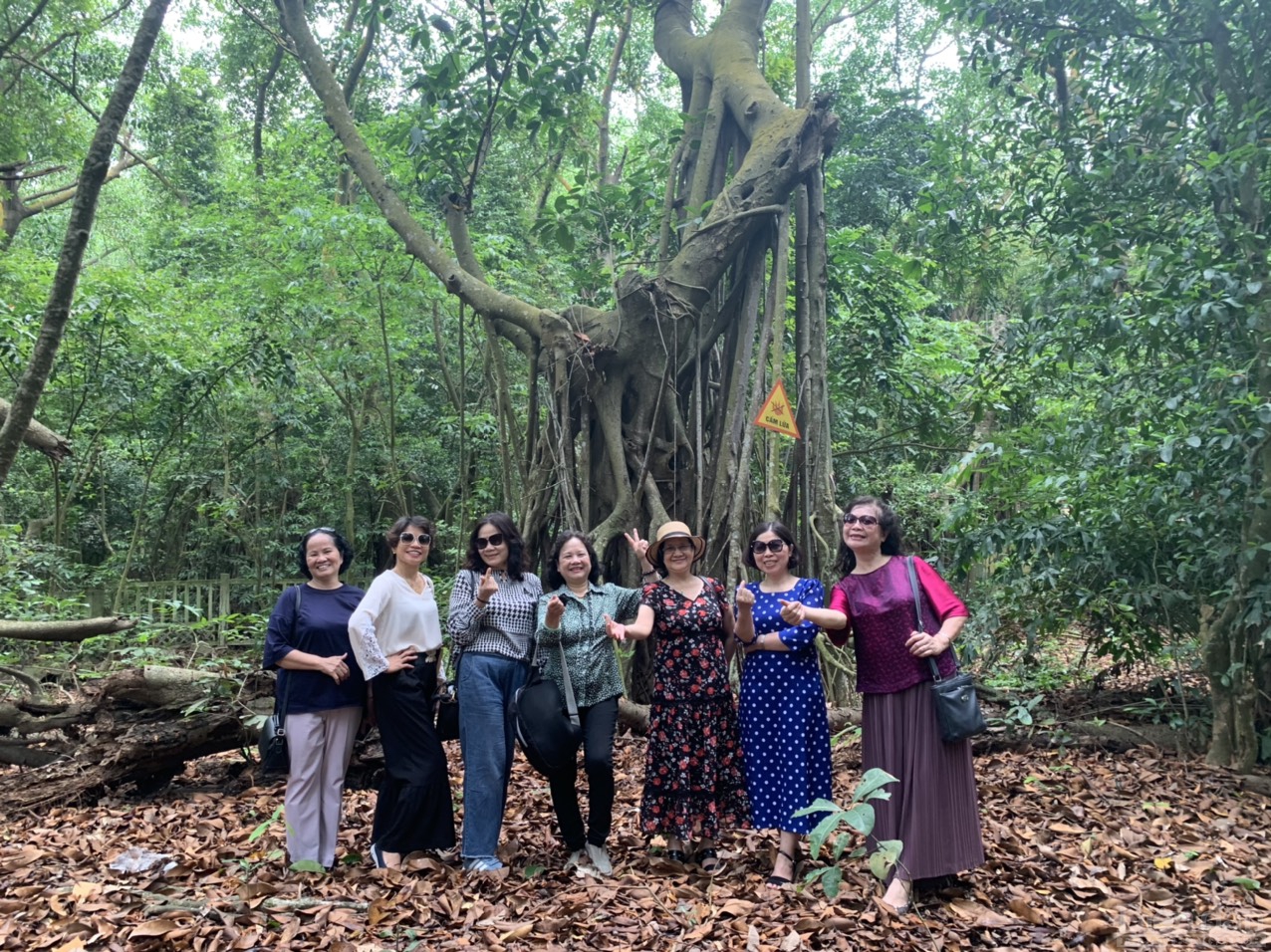 Du khách chụp ảnh dưới gốc cây đa búp đỏp/- cây Di sản Việt Nam