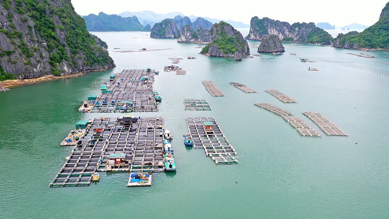 Quảng Ninh hiện có trên 6.000km2 mặt nước với nhiều lợi thế để phát triển kinh tế biển