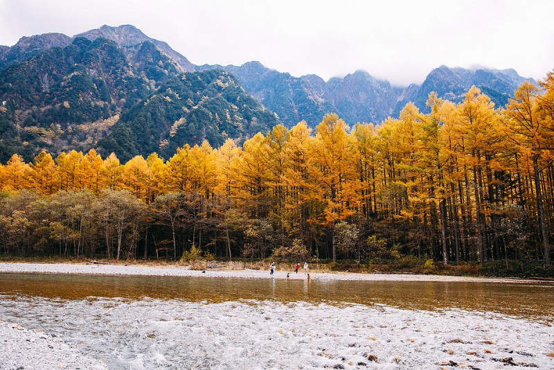 Mùa thu vàng tại Kamikochi - một trong những khu nghỉ dưỡng trên núi cao hàng đầu của Nhật Bản (Ảnh: Trần Văn Tuyền - cán bộ lập trình FPT Software đang onsite tại Tokyo)