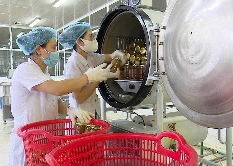 Chế biến sản phẩm ruốc hầu tại Công ty TNHH Sản xuất và Thương mại thủy sản Quảng Ninh (Ảnh: Cổng TTĐT tỉnh Quảng Ninh)