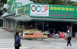 Quảng Ninh: Hình thành chuỗi liên kết tiêu thụ sản phẩm OCOP bền vững