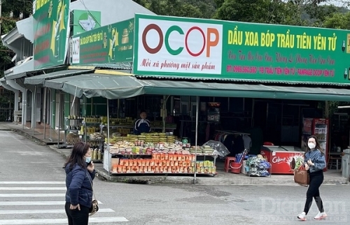 Quảng Ninh: Hình thành chuỗi liên kết tiêu thụ sản phẩm OCOP bền vững | Kinh tế địa phương