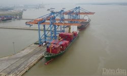 Hải Phòng: Tháo gỡ khó khăn cho doanh nghiệp xuất nhập khẩu