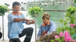 Quảng Ninh: Xây dựng cơ chế, chính sách hỗ trợ doanh nghiệp mở rộng thị trường