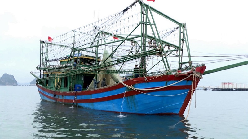 Trên địa bàn tỉnh Quảng Ninh hiện có hơn 6.000 tàu cá (Ảnh: Báo Quảng Ninh)