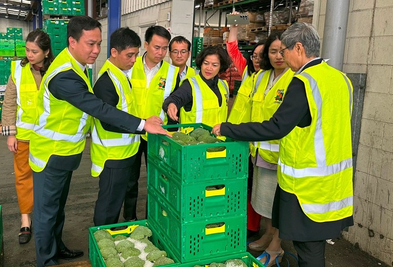 Đoàn công tác của tỉnh Hải Dương thăm mô hình bảo quản và xuất khẩu sản phẩm nông sản tại doanh nghiệp của New Zealand (Ảnh: Quang Hạnh)