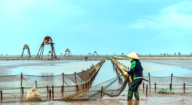 Ở Đồng Châu người dân làm nghề đánh bắt thủy, hải sản, đặc biệt nghề cào ngao nổi tiếng, đã tạop/điểm nhấn phát triển du lịch cộng đồng trải nghiệm - thu hút du khách là hàng trăm chòi canh ngao ven biển được các ngư dân dựng lên