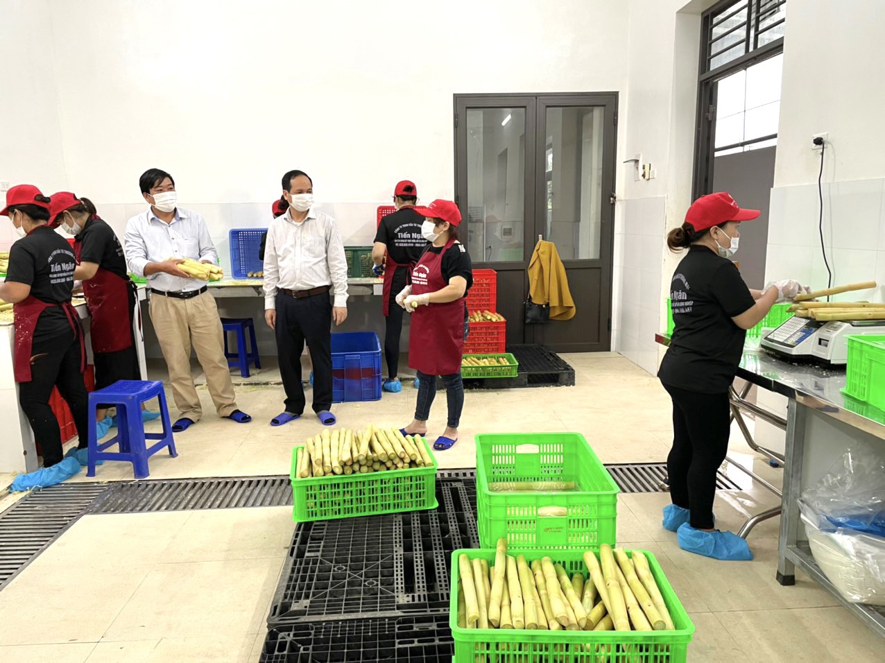 Nông sản Việt đang có những hướng đi mới hiệu quả, bền vững hơn (Trong ảnh: doanh nghiệp xuất khẩu mía Hòa Bình sang thị trường Châu Âu)
