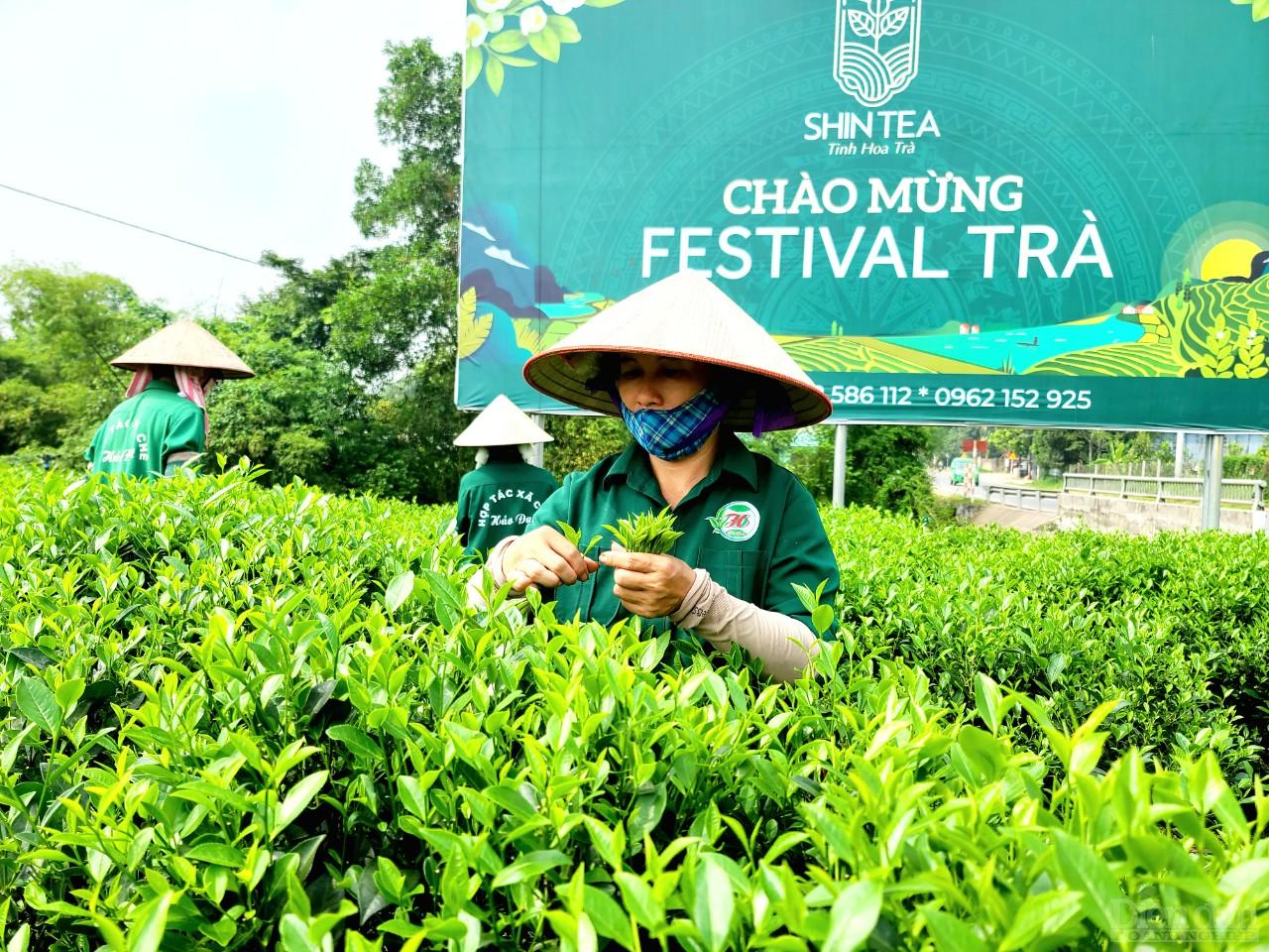 Thái Nguyên là tỉnh có tiềm năng phát triển về lĩnh vực nông nghiệp, phát triển sản phẩm du lịch gắn liền với nông nghiệp, nông thôn (Ảnh: Vũ Phường)