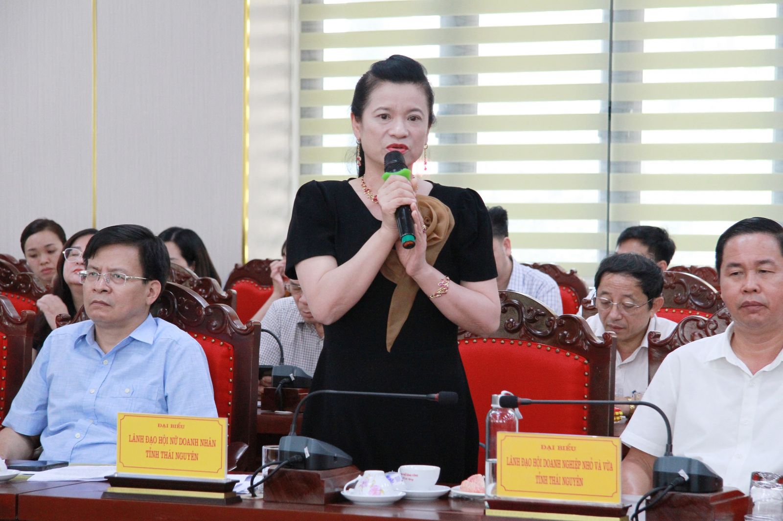 Bà Nguyễn Thị Kim Oanh đại diện Hội nữ doanh nhân tỉnh Thái Nguyên kiến nghị tại Hội nghị đối thoại doanh nghiệp của UBND thành phố Sông Công. 