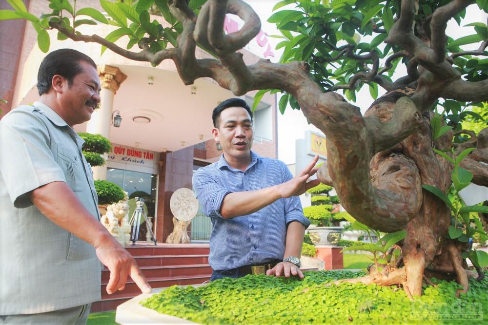 Doanh nhân Lê Văn Dũng, Giám đốc công ty TNHH Dũng Tân (phía trái ảnh) bên vườn sinh vật cảnh của công ty