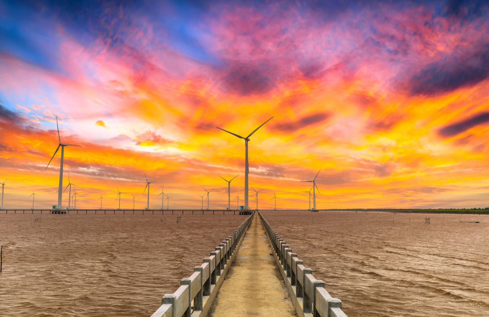 Điện gió ngoài khơi là động lực cho quá trình chuyển đổi năng lượng toàn cầu
