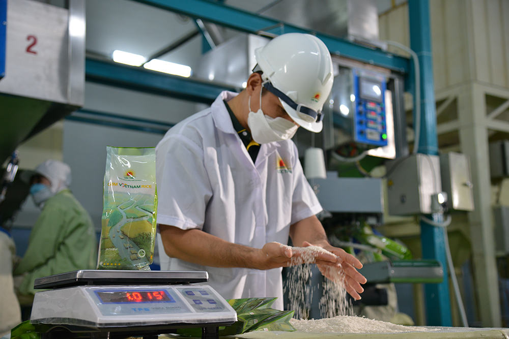 Tiên phong chuyển đổi sản xuất xanh, Lộc Trời đã sớm thành công xuất khẩu thương hiệu gạo ComRice ViẹtNam vào thị trường EU