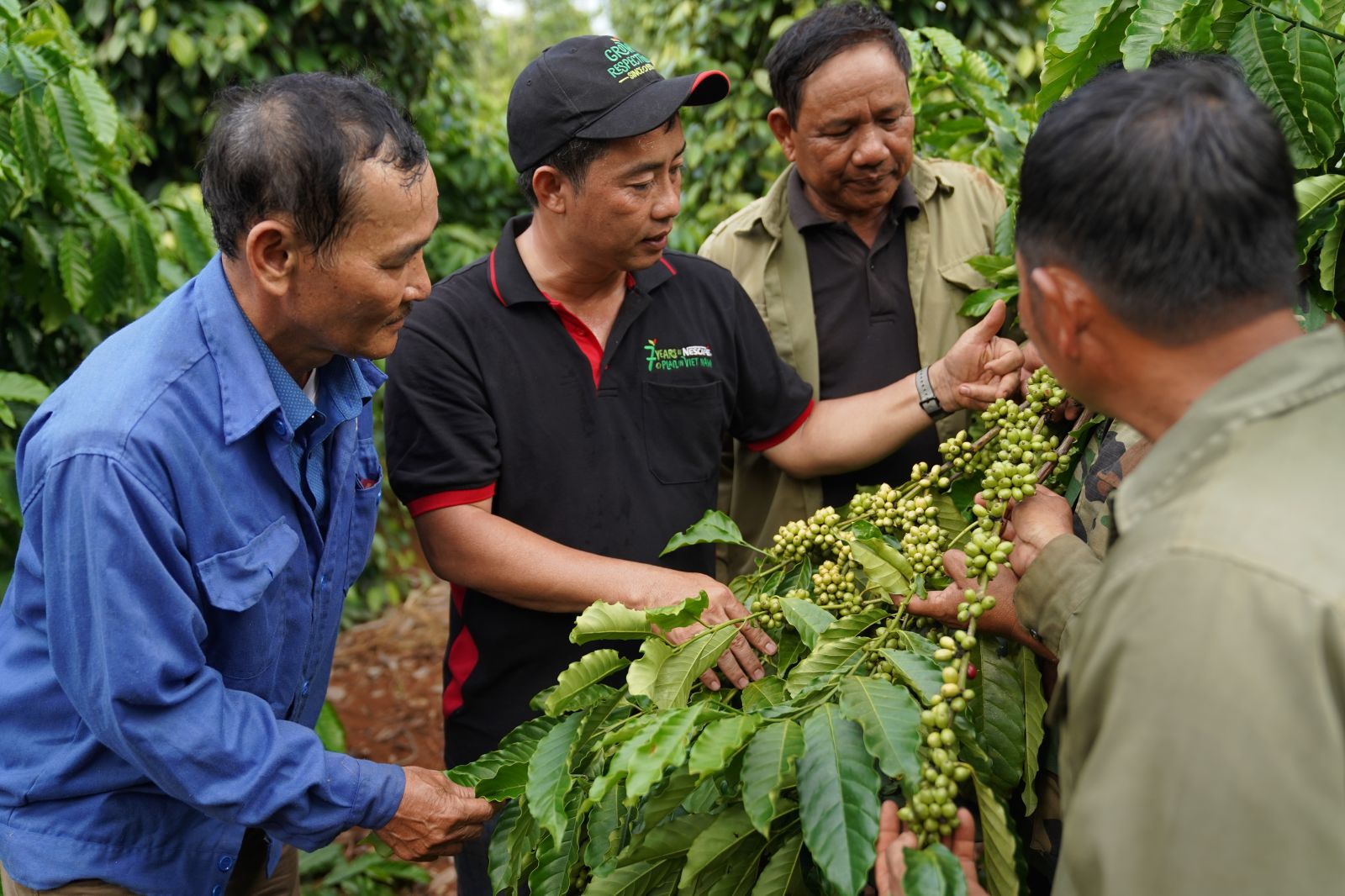 Mô hình trồng cà phê tuần hoàn hướng đến nông nghiệp xanh tại Việt Nam