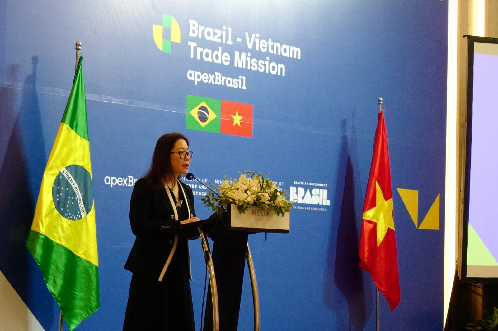 Tổng Thư ký VCCI Trần Thị Lan Anh khẳng định sẽ hỗ trợ để thúc đẩy thương mại song phương Việt Nam Brazil trong tương lai