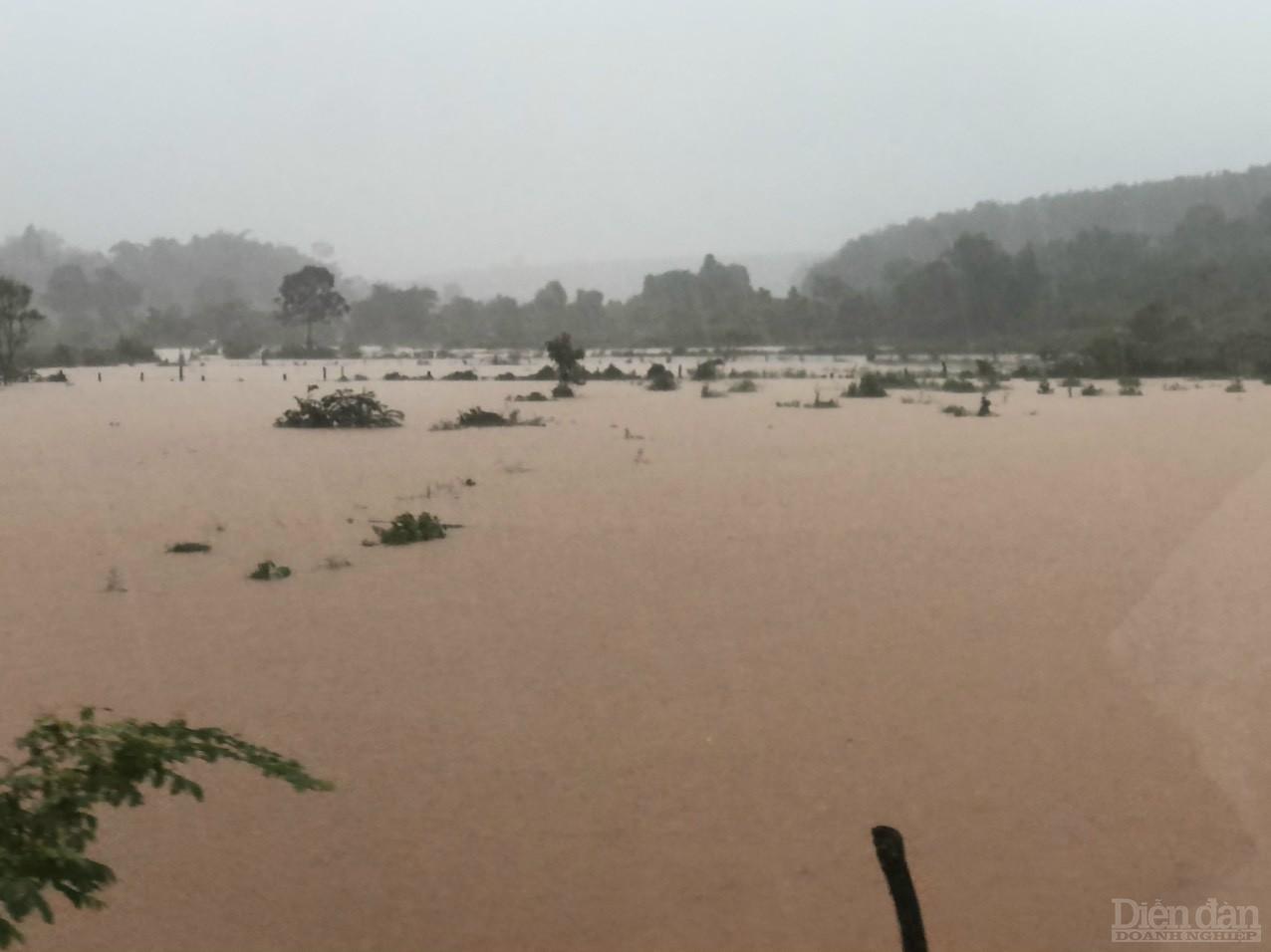 Tình trạng ngập lụt ở xã Ia Chía huyện Ia Grai trong ngày 2/8