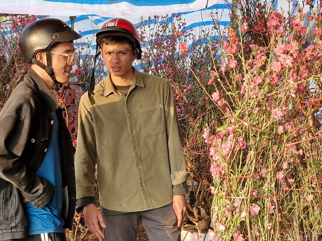 Hai anh em đi hơn 60km từ thị trấn Ia Ly huyện Chư Păh ra thành phố Pleiku để chọn mua một cây đào