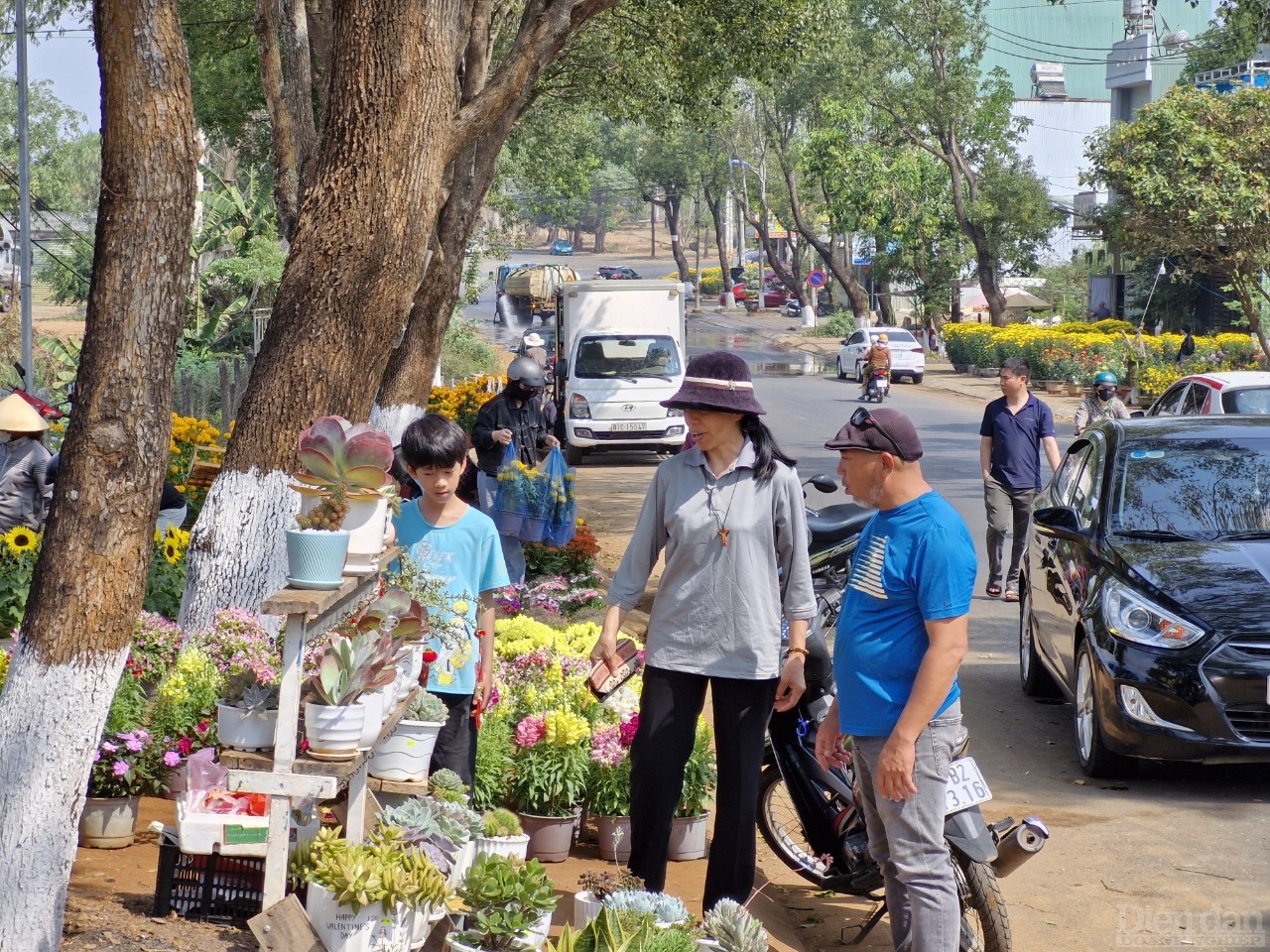 Một góc đường phố Tây Nguyên rợp sắc hoa và nhộn nhịp người mua bán